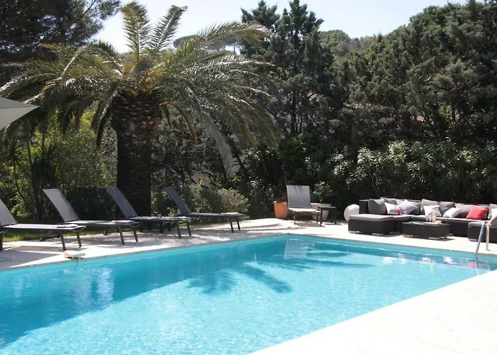 Hortense - Golf Of Saint Tropez *